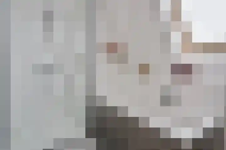 Reiger 2 Terneuzen thumbnail 15