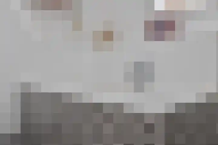 Reiger 2 Terneuzen thumbnail 17