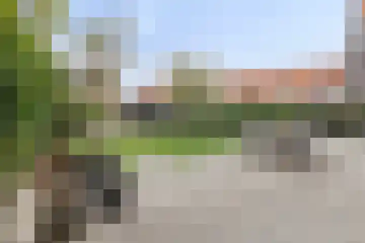 Reiger 2 Terneuzen thumbnail 27