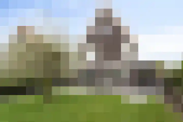 Reiger 2 Terneuzen thumbnail 28