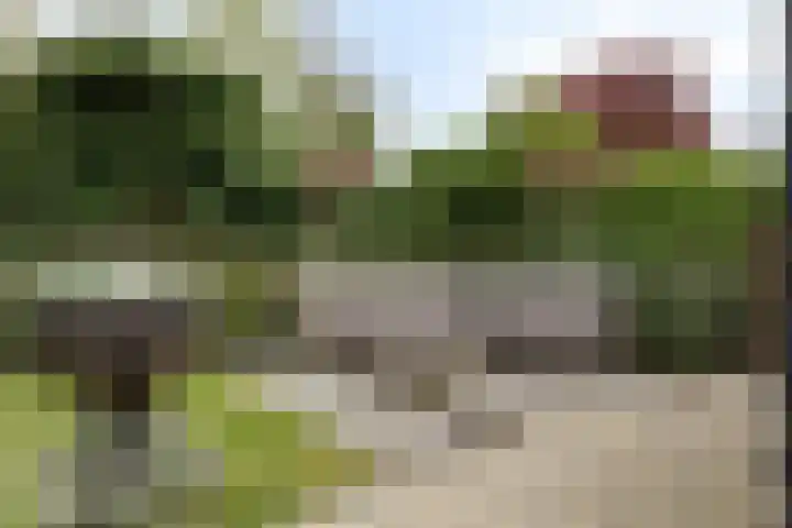Reiger 2 Terneuzen thumbnail 29