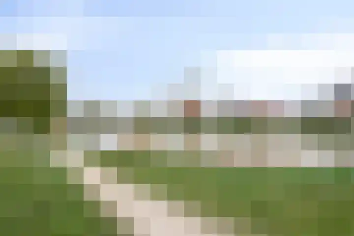 Reiger 2 Terneuzen thumbnail 30