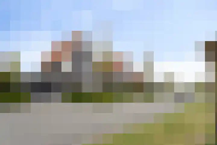 Reiger 2 Terneuzen thumbnail 32