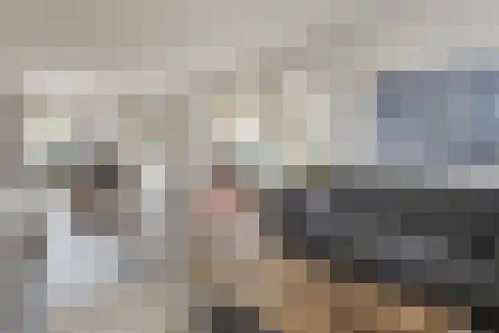Reiger 2 Terneuzen thumbnail 4
