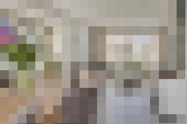 Reiger 2 Terneuzen thumbnail 6