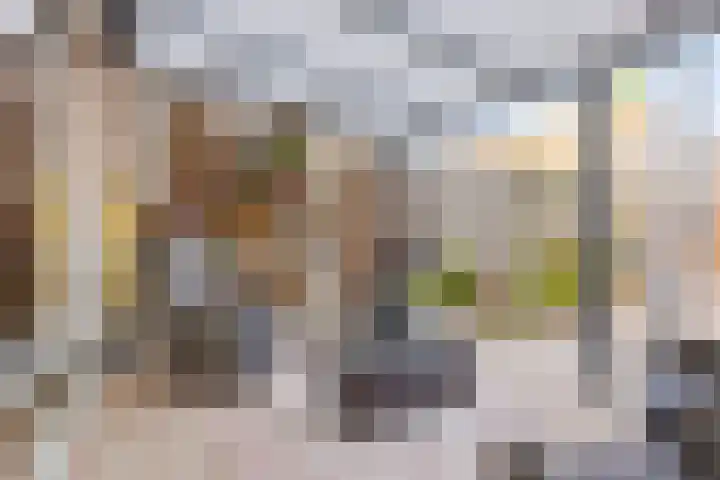 Reiger 20 Bedum thumbnail 23