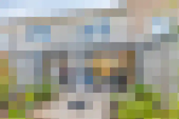 Reiger 20 Bedum thumbnail 26
