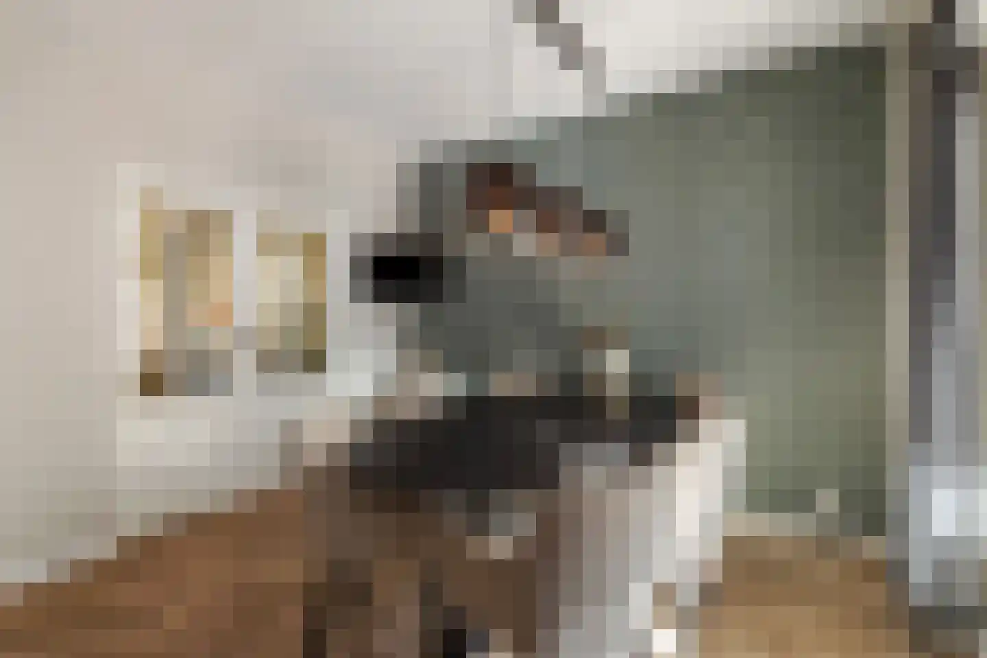 Reiger 20 Raalte thumbnail 13