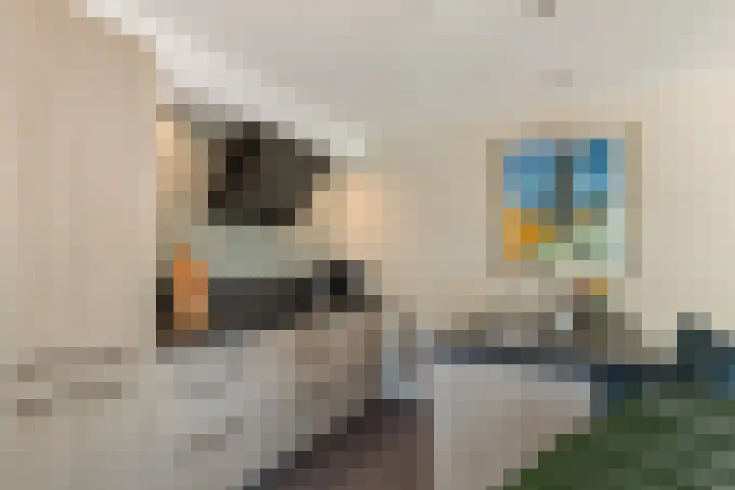 Reiger 20 Raalte thumbnail 17