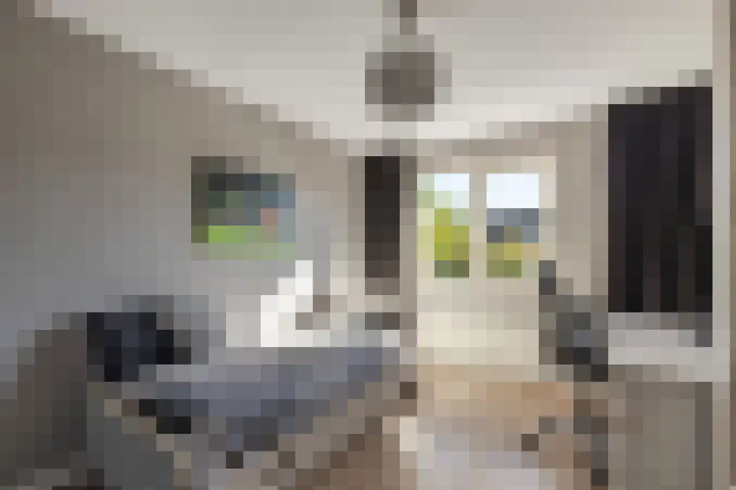 Reiger 20 Raalte thumbnail 26