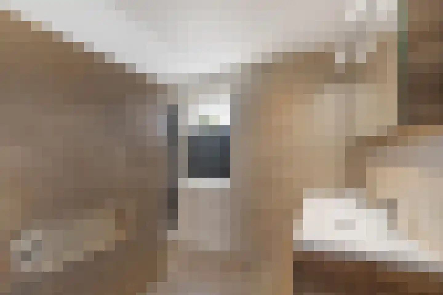 Reiger 20 Raalte thumbnail 30