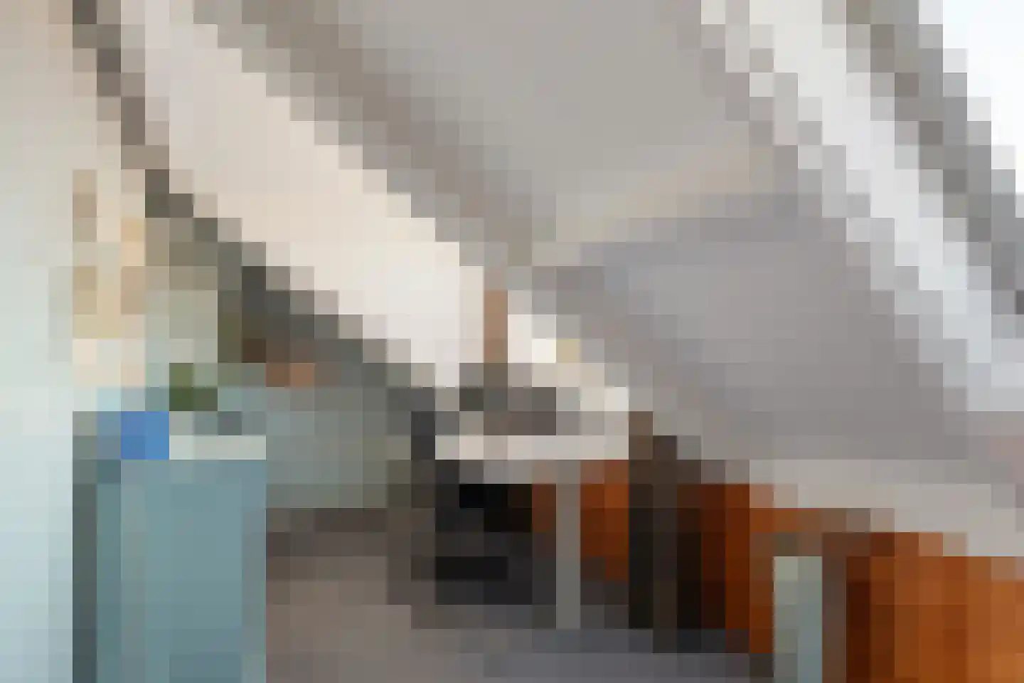 Reiger 20 Raalte thumbnail 36