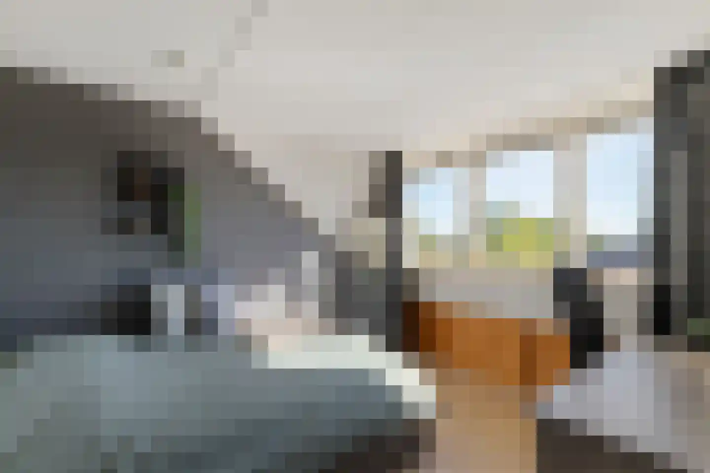 Reiger 20 Raalte thumbnail 37