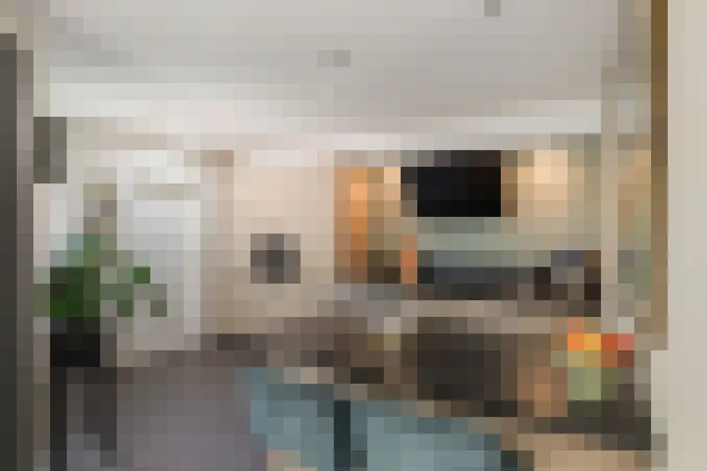 Reiger 20 Raalte thumbnail 4