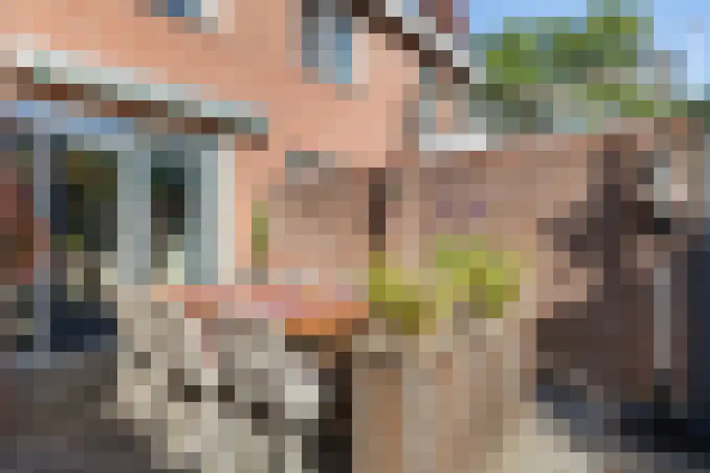 Reiger 20 Raalte thumbnail 41