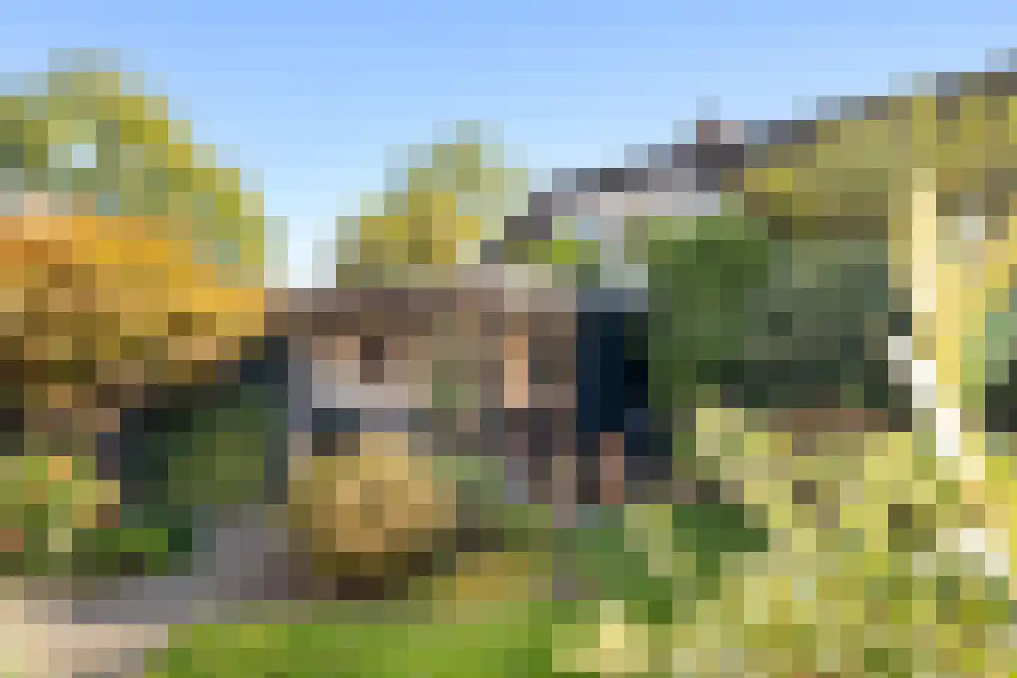 Reiger 20 Raalte thumbnail 43