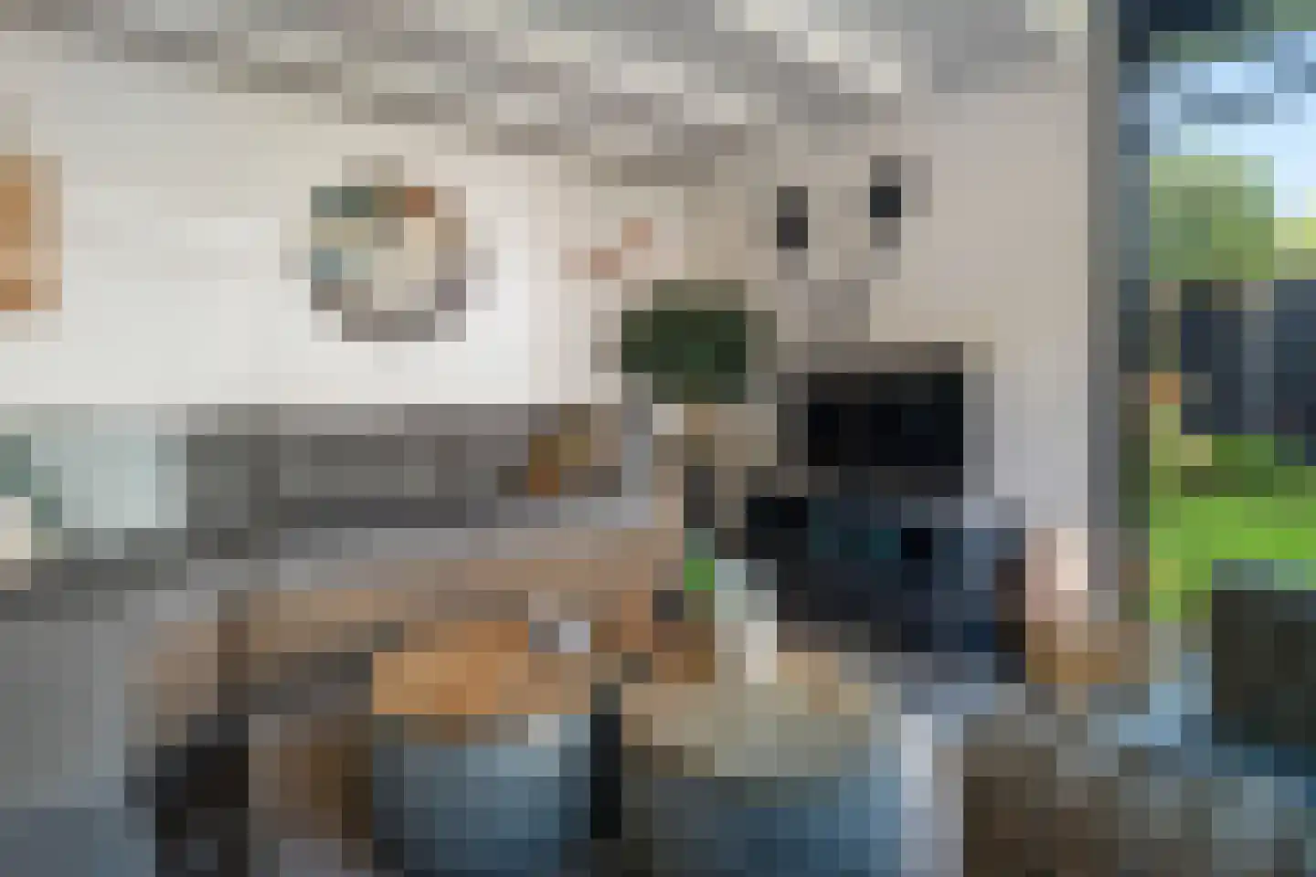 Reiger 20 Raalte thumbnail 45