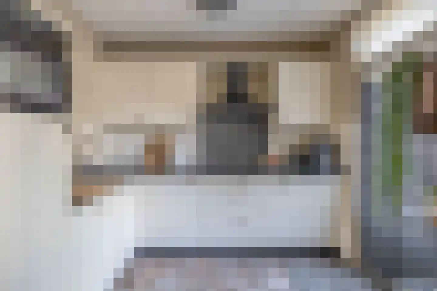 Reiger 24 Sommelsdijk foto 3