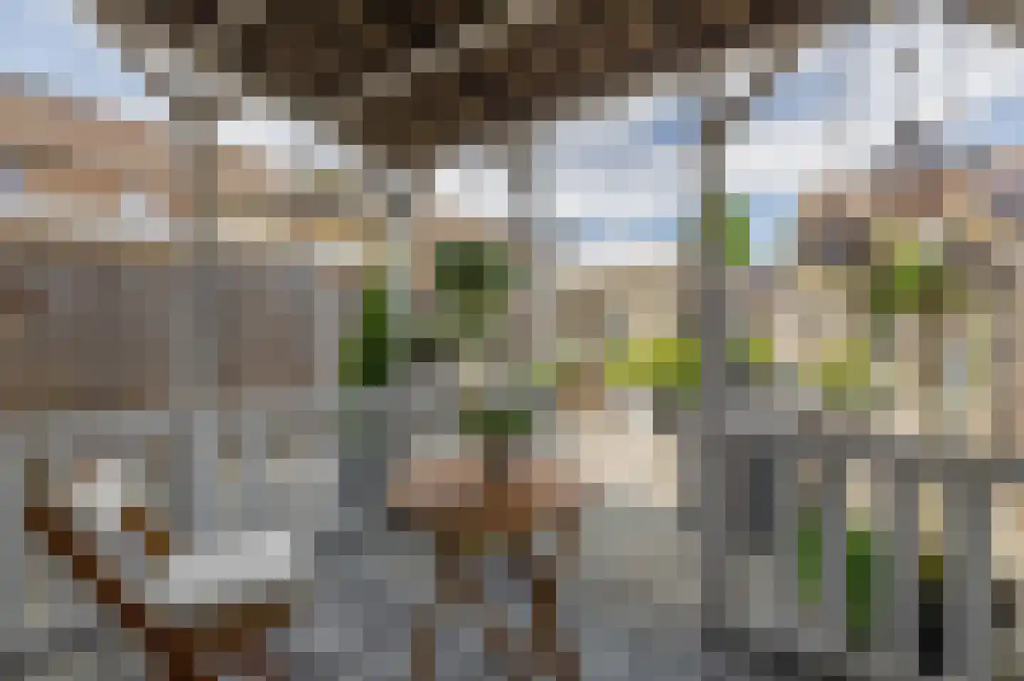 Reiger 24 Sommelsdijk thumbnail 37