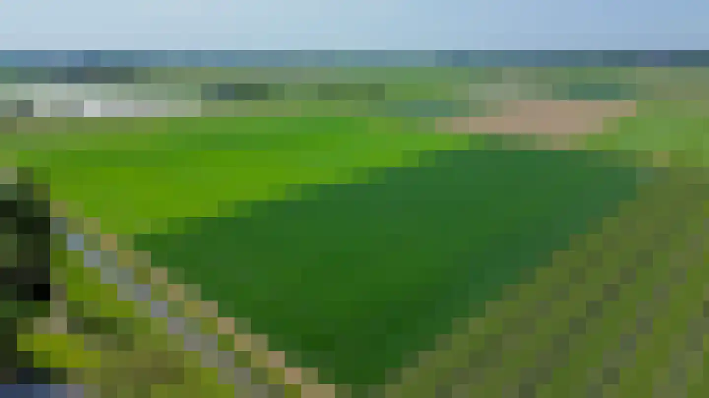 Reiger 24 Sommelsdijk thumbnail 59