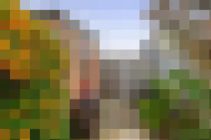 Reiger 26 Sommelsdijk thumbnail 23