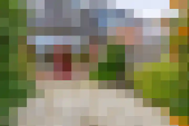Reiger 26 Sommelsdijk thumbnail 24