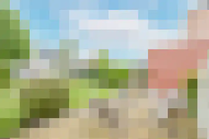Reiger 28 's-Gravenzande thumbnail 34