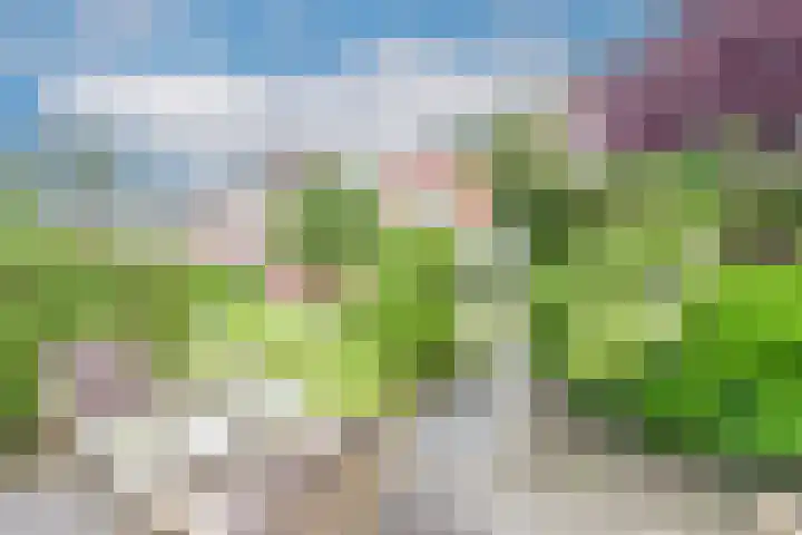 Reiger 28 's-Gravenzande thumbnail 35