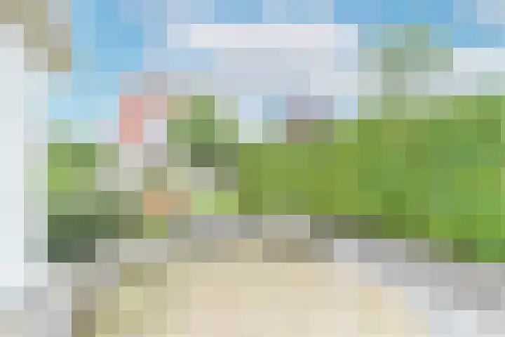 Reiger 28 's-Gravenzande thumbnail 36