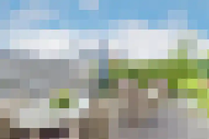 Reiger 28 's-Gravenzande thumbnail 37