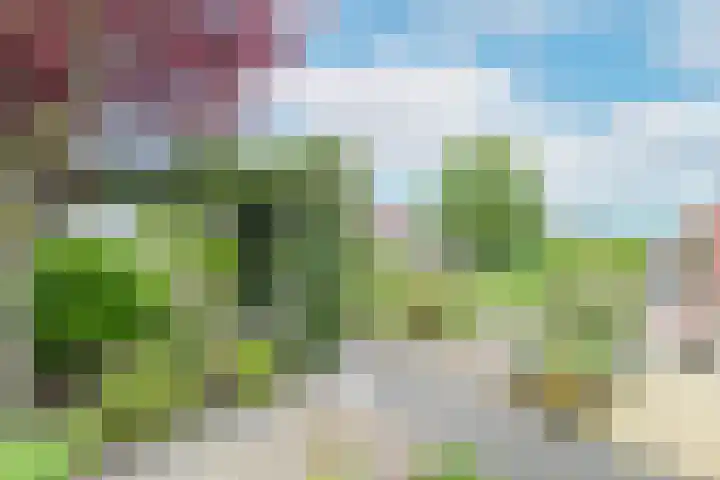 Reiger 28 's-Gravenzande thumbnail 38