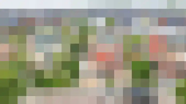 Reiger 28 's-Gravenzande thumbnail 39