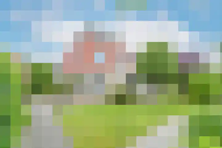 Reiger 28 's-Gravenzande thumbnail 4