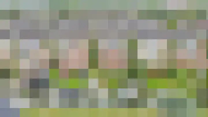Reiger 28 's-Gravenzande thumbnail 41