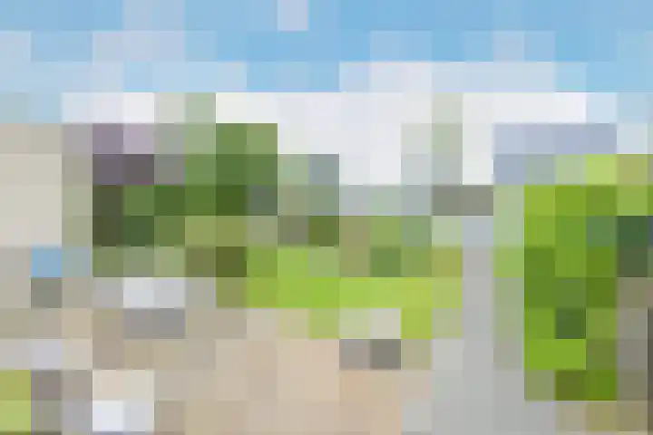 Reiger 28 's-Gravenzande thumbnail 42