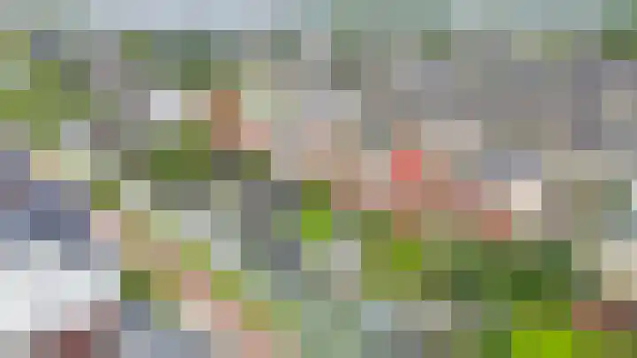Reiger 28 's-Gravenzande thumbnail 43