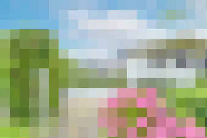 Reiger 28 's-Gravenzande thumbnail 45