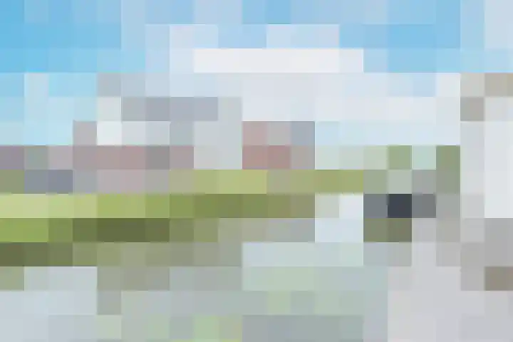 Reiger 28 's-Gravenzande thumbnail 46