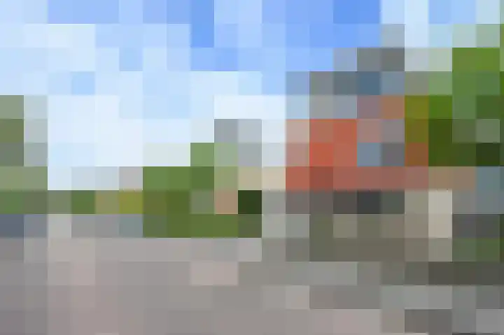 Reiger 28 's-Gravenzande thumbnail 47