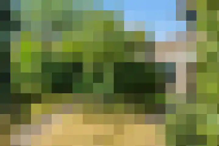 Reiger 3 Blaricum thumbnail 27