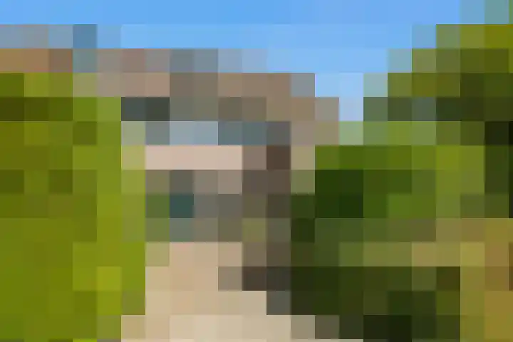 Reiger 3 Blaricum thumbnail 30