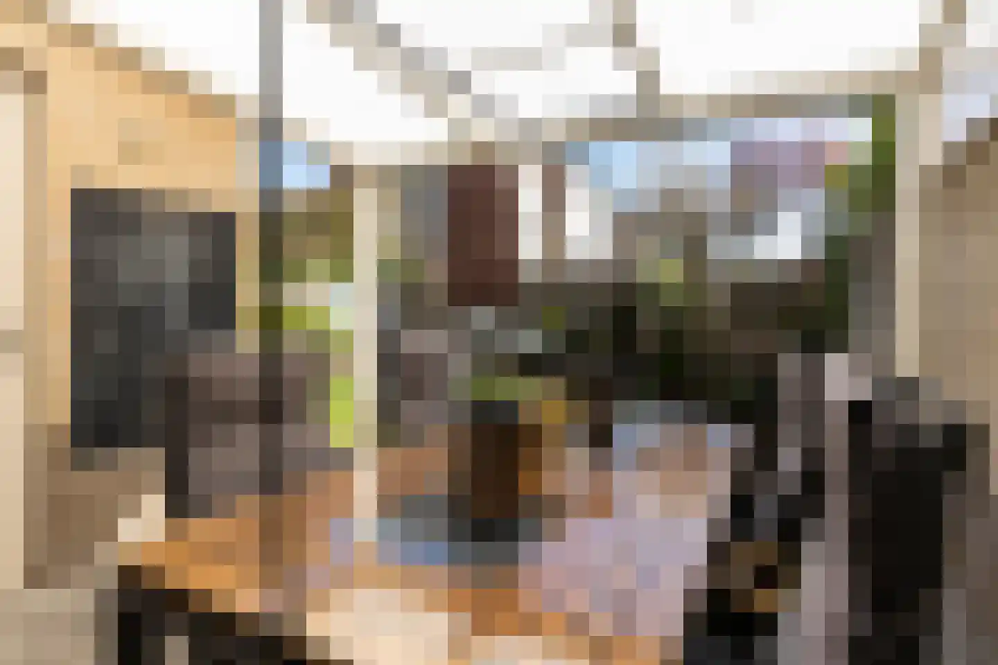Reiger 3 Veldhoven thumbnail 28