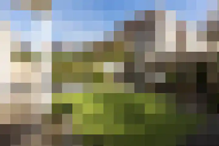 Reiger 3 Veldhoven thumbnail 29