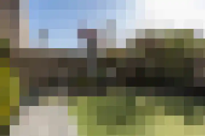 Reiger 3 Veldhoven thumbnail 30