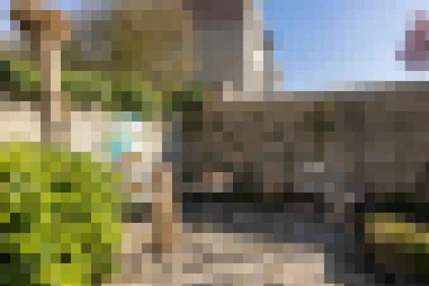 Reiger 3 Veldhoven thumbnail 31