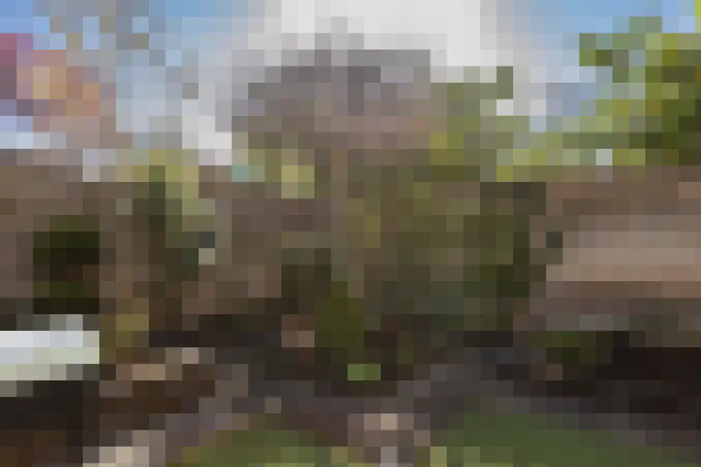 Reiger 3 Veldhoven thumbnail 32