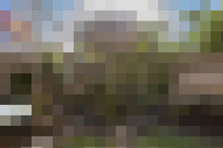 Reiger 3 Veldhoven thumbnail 32