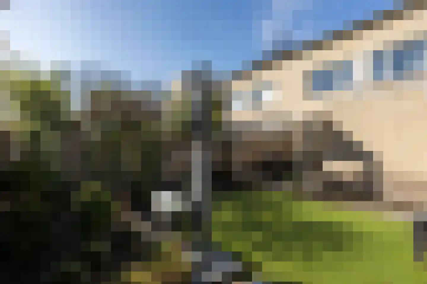 Reiger 3 Veldhoven thumbnail 34