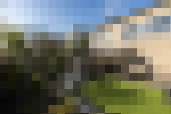 Reiger 3 Veldhoven thumbnail 34