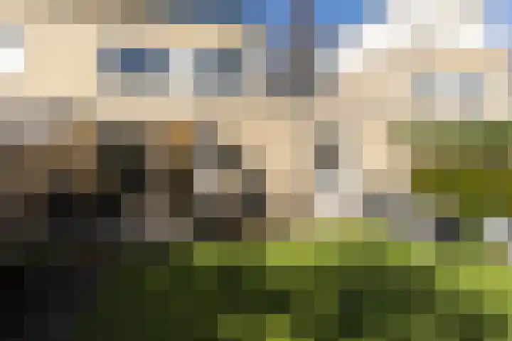Reiger 3 Veldhoven thumbnail 36